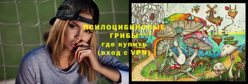 Псилоцибиновые грибы Psilocybine cubensis  hydra как войти  Соликамск  как найти наркотики 